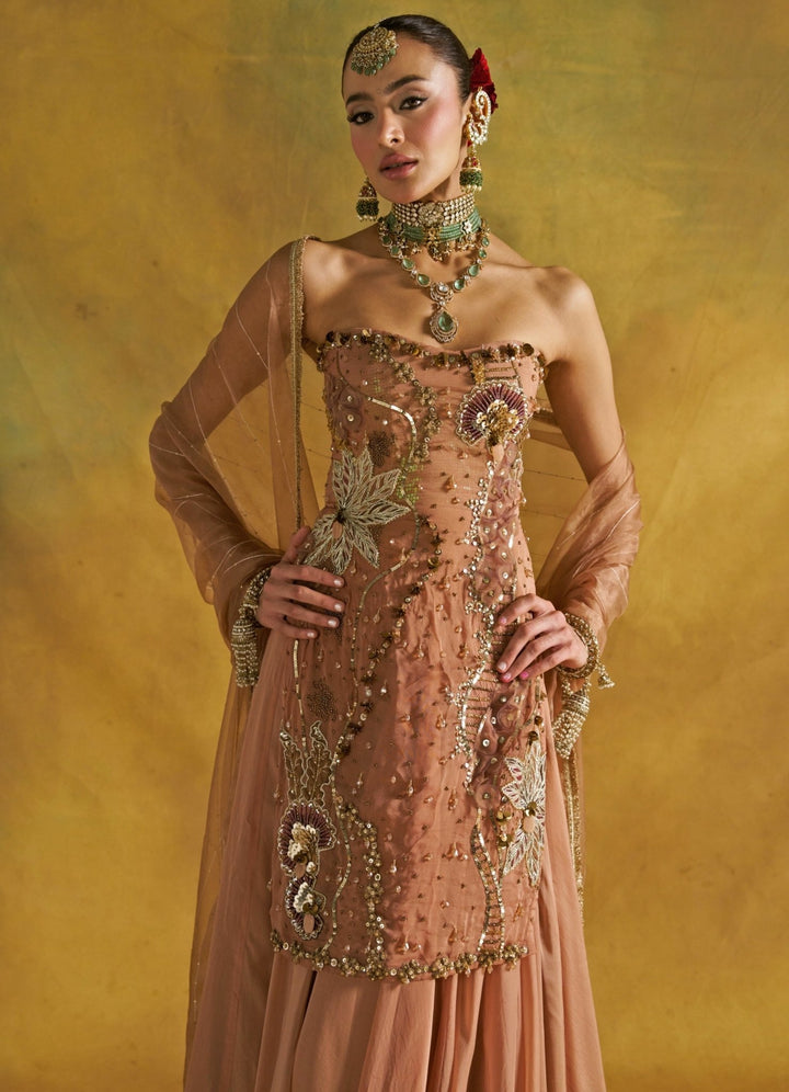 Rishi and Vibhuti Muted Rust Embroidered Organza Kurta Lehenga SetFabilicious Fashion