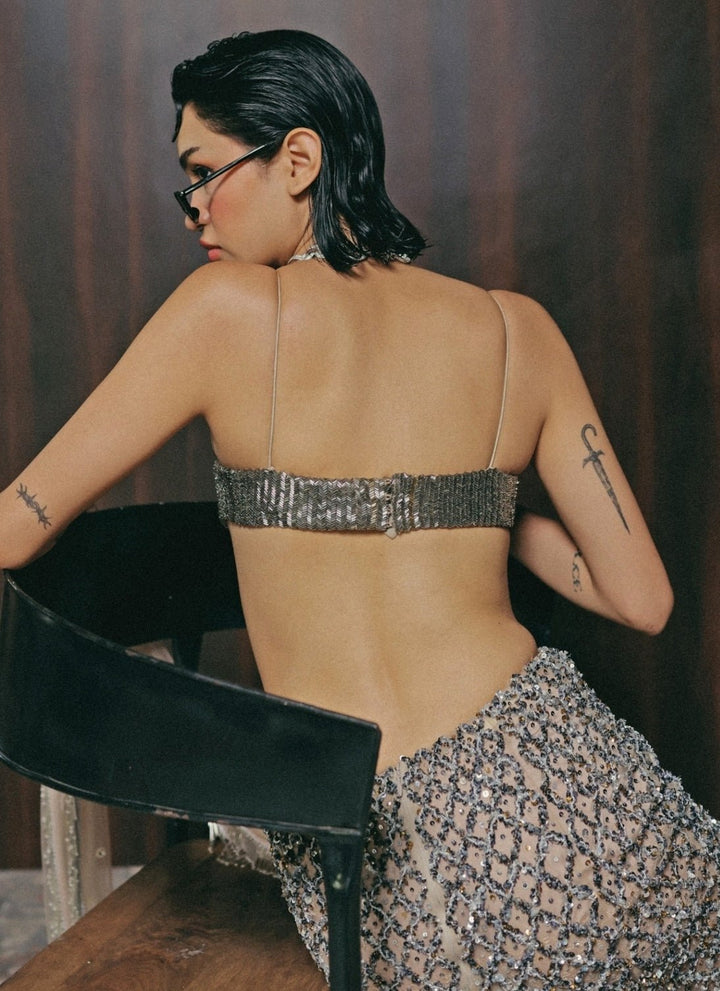 The Little Black Bow Nude Gold And Grey Soft Net Concept SareeFabilicious Fashion