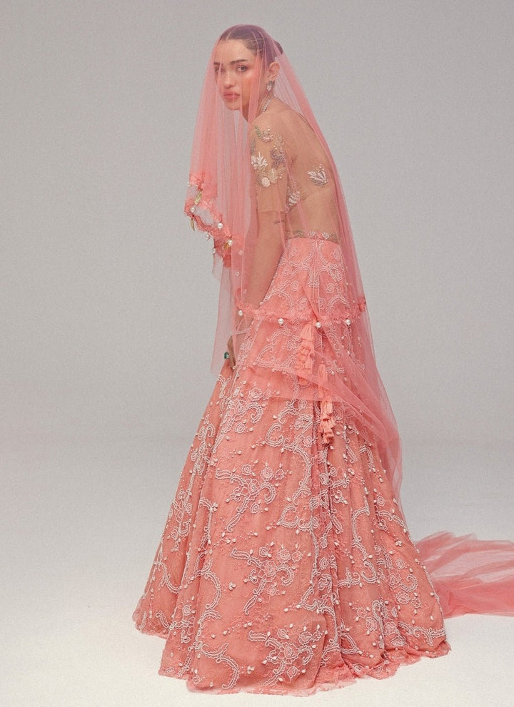 The Little Black Bow Nude Gold And Pink Corded Lace Lehenga SetFabilicious Fashion