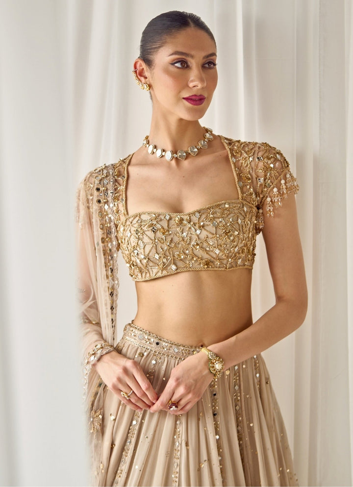 Nude Gold Georgette Lehenga Set Sanya Gulati - Fabilicious Fashion
