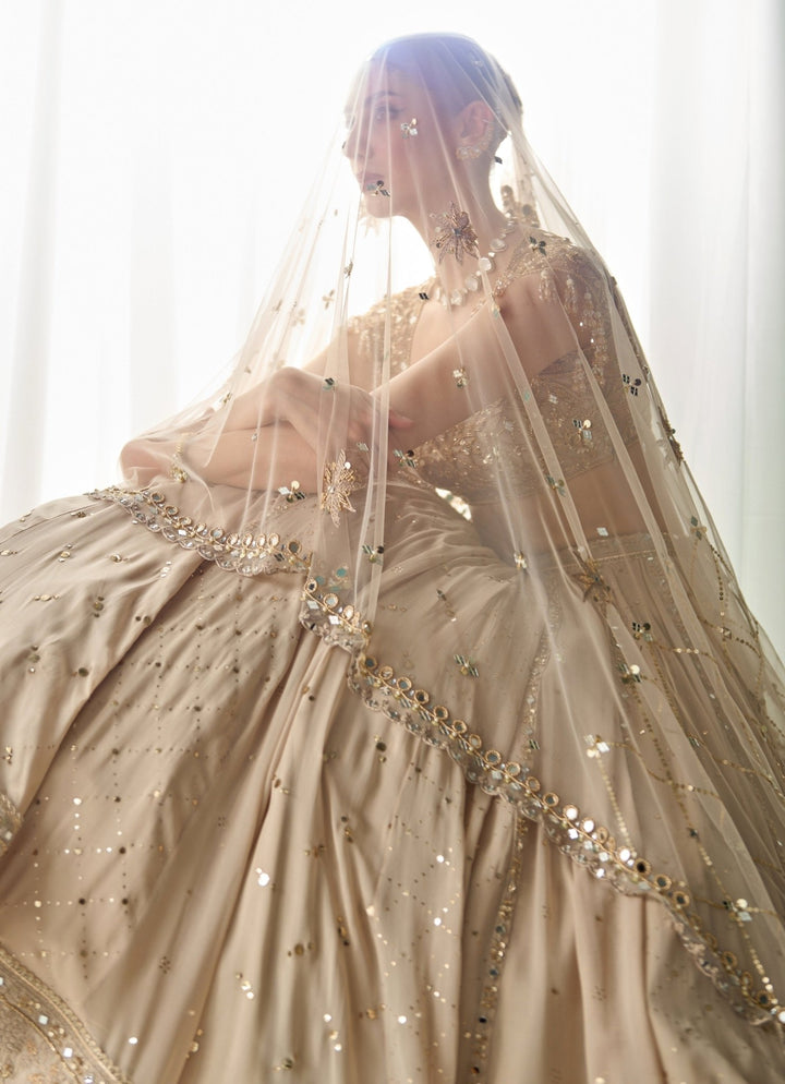 Nude Gold Georgette Lehenga Set Sanya Gulati - Fabilicious Fashion