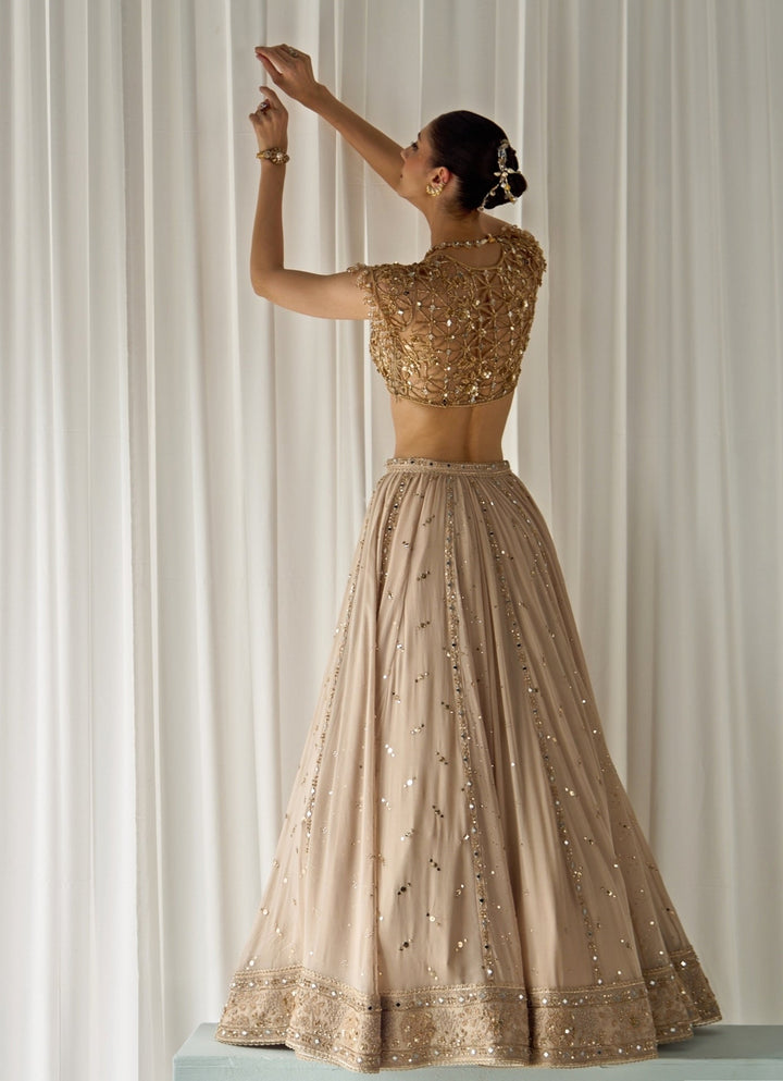 Nude Gold Georgette Lehenga Set Sanya Gulati - Fabilicious Fashion