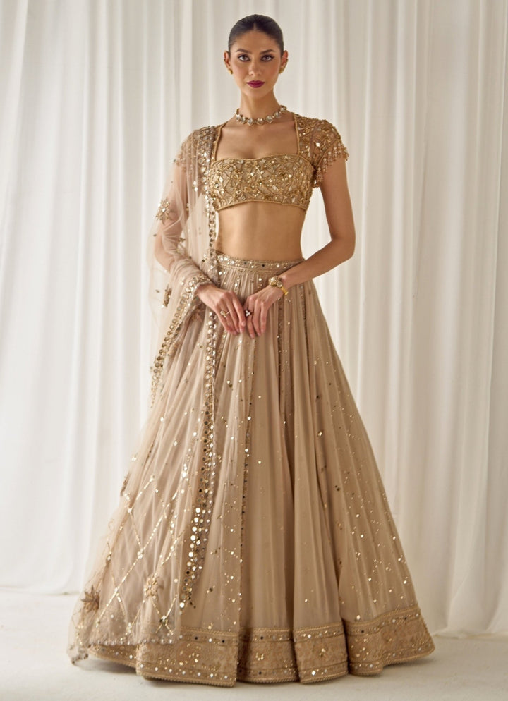 Nude Gold Georgette Lehenga Set Sanya Gulati - Fabilicious Fashion