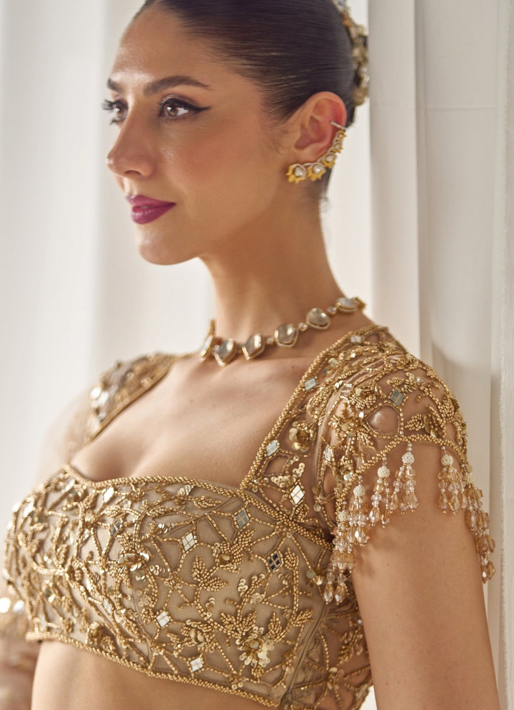 Nude Gold Georgette Lehenga Set Sanya Gulati - Fabilicious Fashion