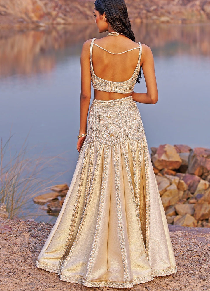 Nude Gold Mermaid Lehenga Set Nidhika Shekhar - Fabilicious Fashion