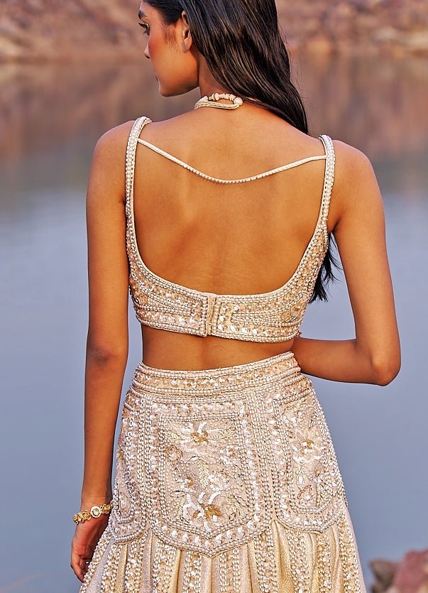 Nude Gold Mermaid Lehenga Set Nidhika Shekhar - Fabilicious Fashion