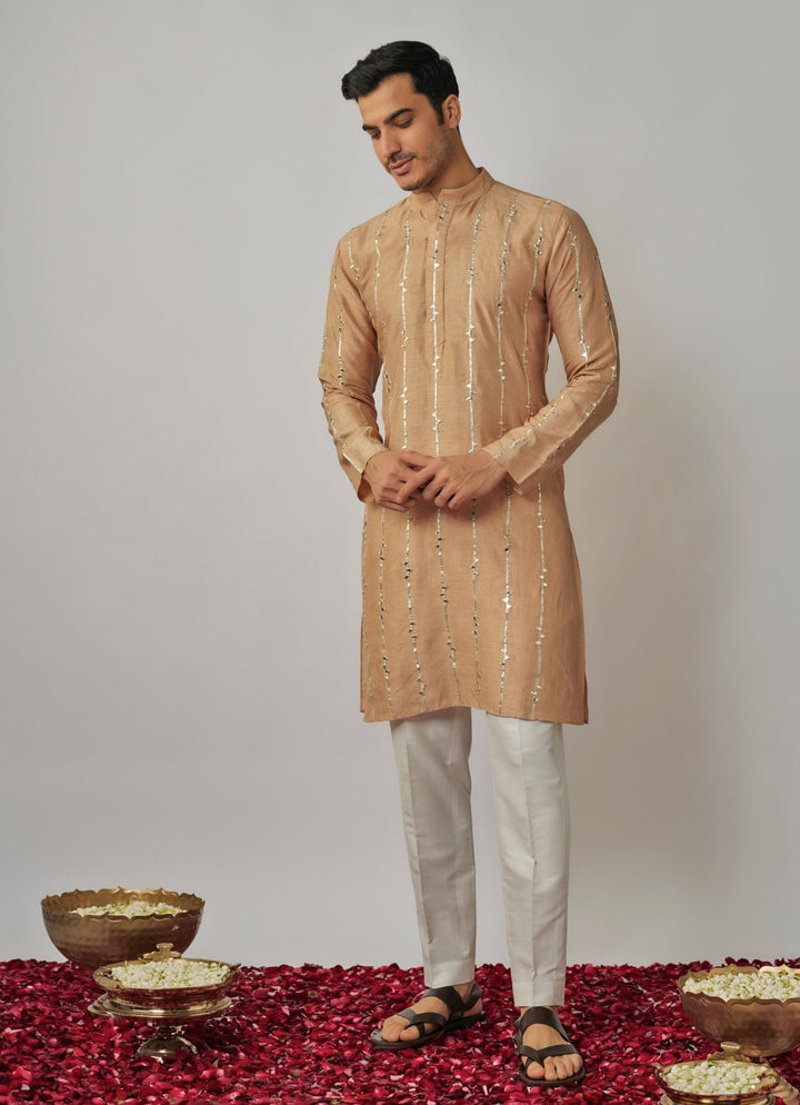 Nude Gold Mirror Embroidered Kurta Pant Set Renee Label - Men - Fabilicious Fashion