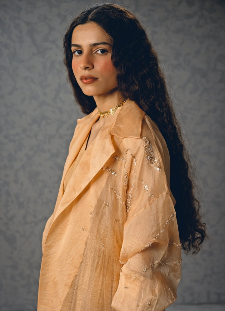 Nude Gold Silk Dress With Jacket Paulmi and Harsh X Ease - Fabilicious Fashion