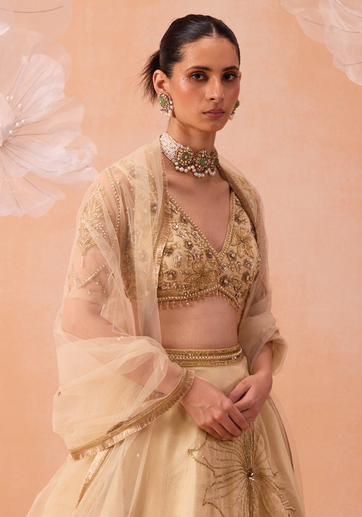 Off White Embellished Lehenga Set Parul Gandhi - Fabilicious Fashion