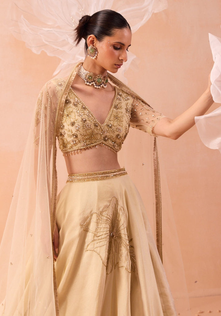 Off White Embellished Lehenga Set Parul Gandhi - Fabilicious Fashion