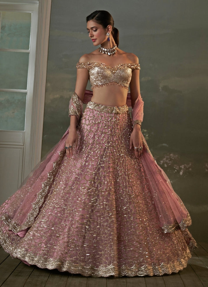 Old Rose Pink Soft Net Lehenga Set Nitika Gujral - Fabilicious Fashion