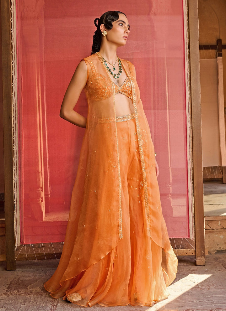 Orange Embroidered Organza Pants Set With Jacket Zoon Tribe - Fabilicious Fashion