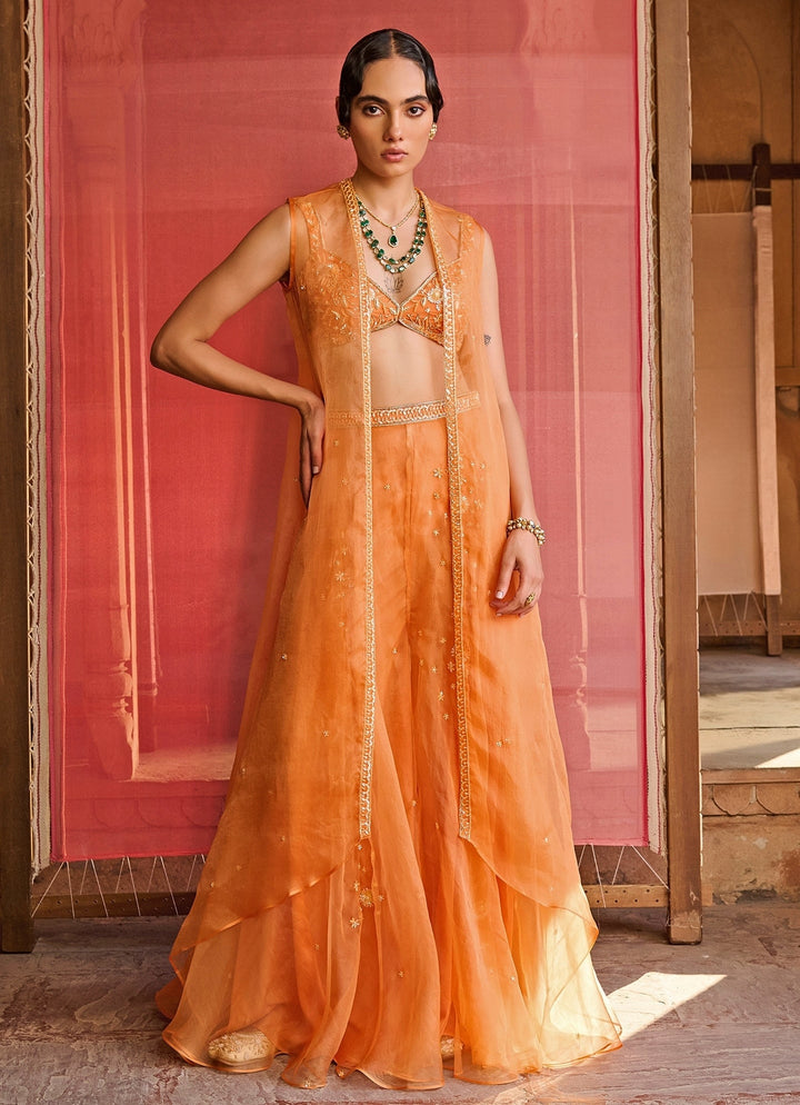 Orange Embroidered Organza Pants Set With Jacket Zoon Tribe - Fabilicious Fashion