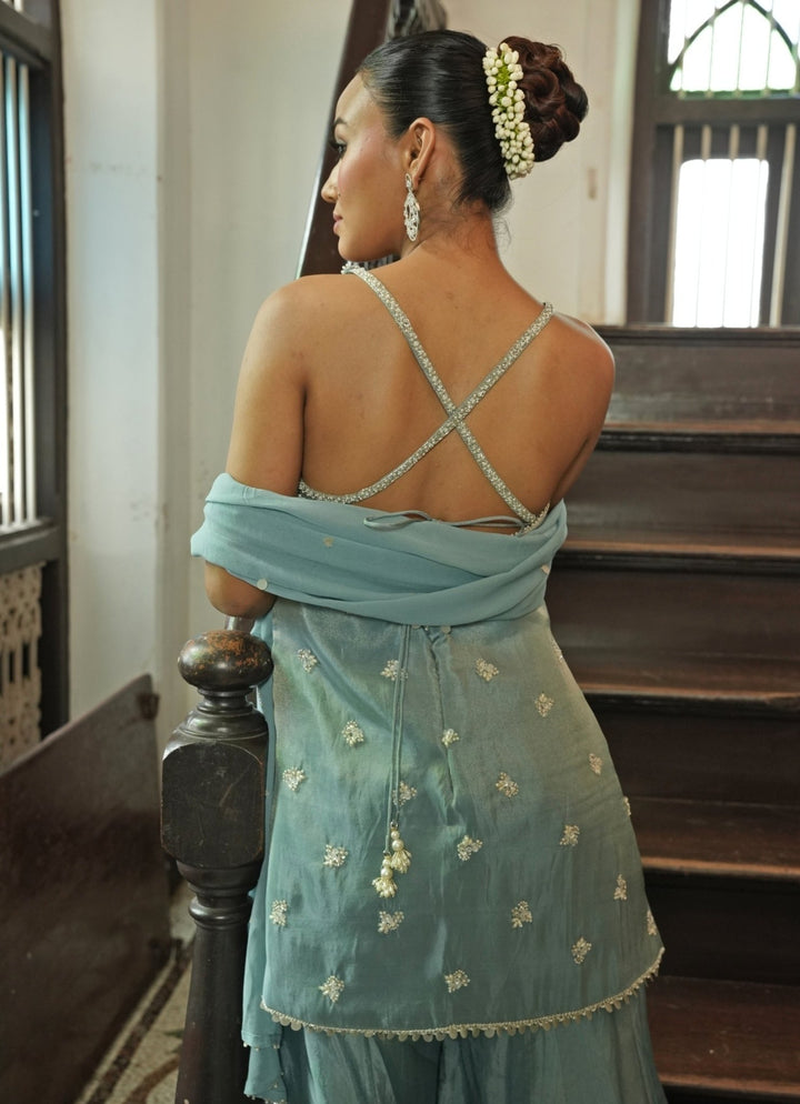 Pastel Blue Zari Silk Sharara Set Enamour by Radha - Fabilicious Fashion