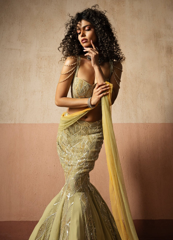 Pastel Green And Yellow Mermaid Pre Draped Georgette Saree Quench A Thirst - Fabilicious Fashion