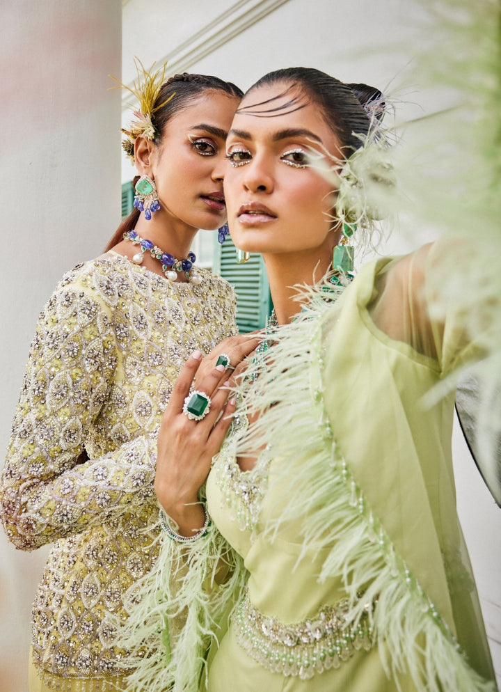 Pastel Green Feathered Chiffon Jumpsuit With Jacket Mani Bhatia - Fabilicious Fashion