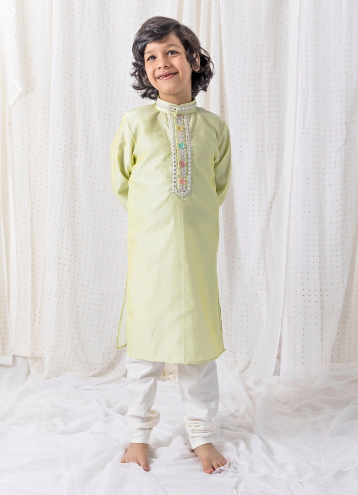 Pastel Green Organza Kurta Set Chotibuti - Fabilicious Fashion