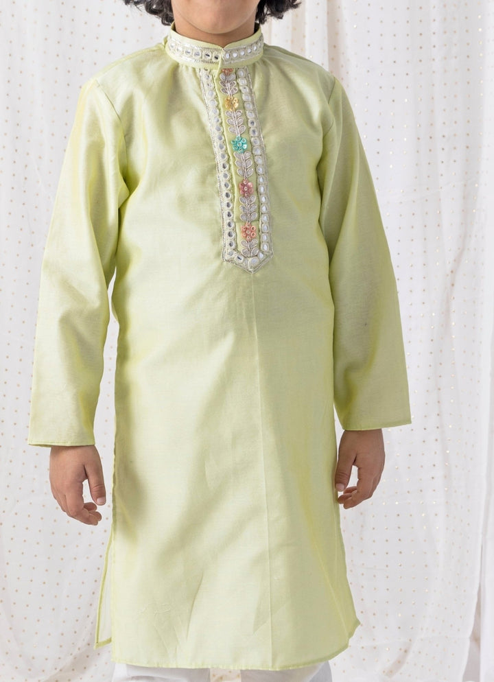 Pastel Green Organza Kurta Set Chotibuti - Fabilicious Fashion