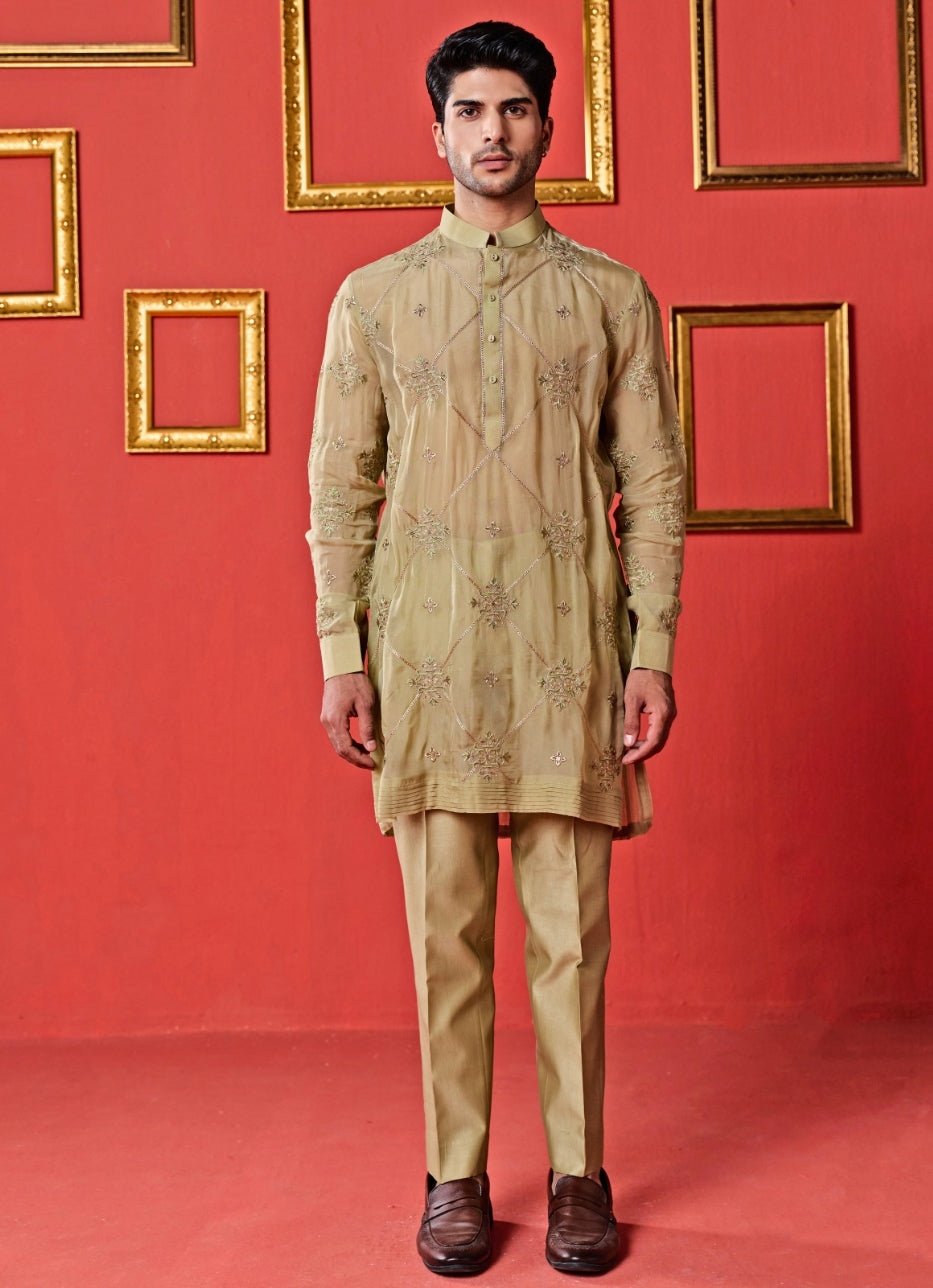 Studio Bagechaa - Men Pastel Green Organza Kurta SetFabilicious Fashion