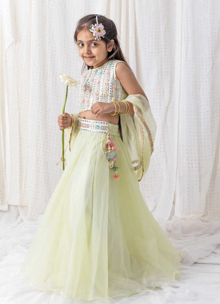 Pastel Green Organza Lehenga Set Chotibuti - Fabilicious Fashion