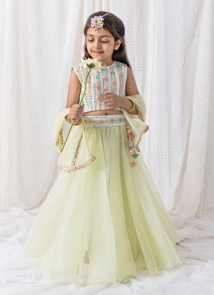 Pastel Green Organza Lehenga Set Chotibuti - Fabilicious Fashion