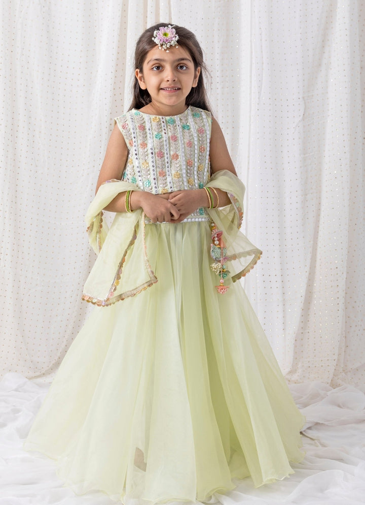 Pastel Green Organza Lehenga Set Chotibuti - Fabilicious Fashion