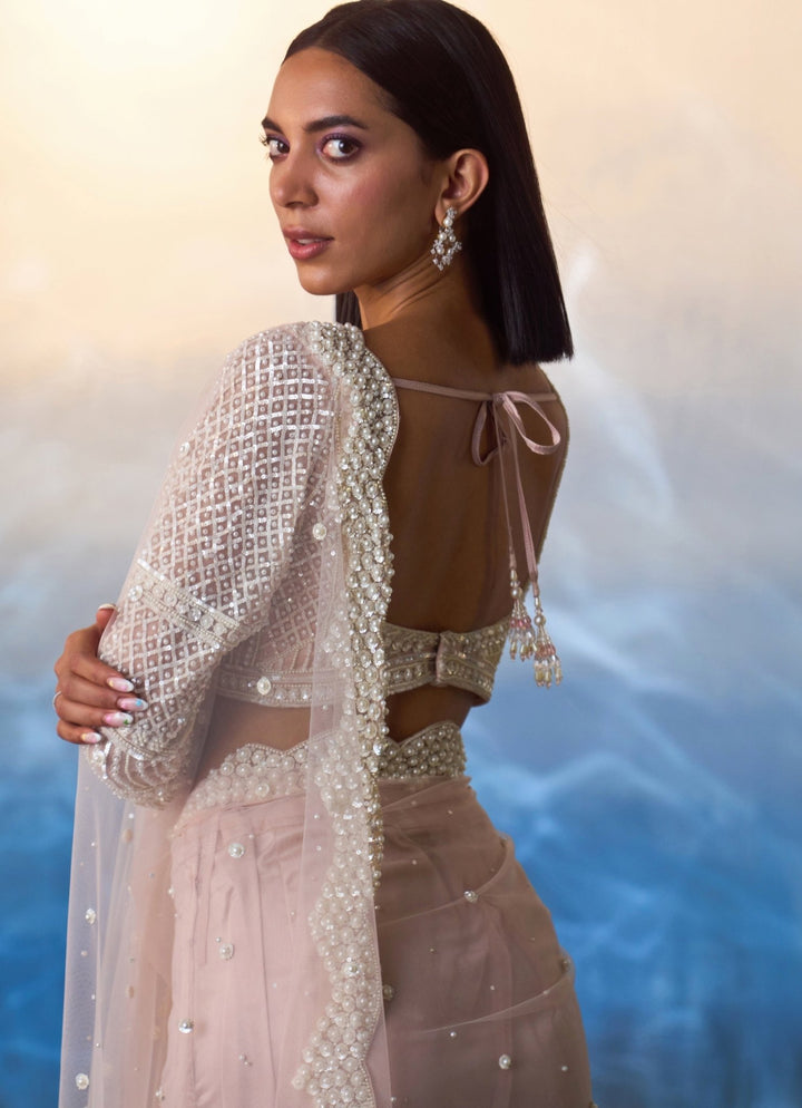 Pastel Peach Net Saree with Full Sleeve Embroidered Blouse Angad Singh - Fabilicious Fashion