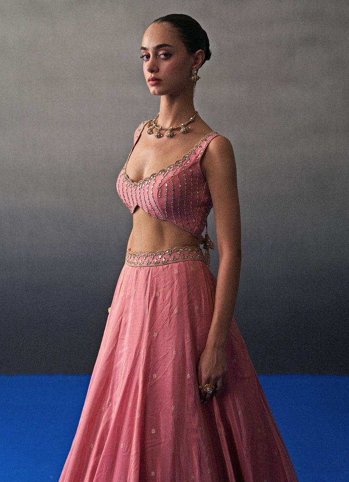 Pastel Pink Banarasi Silk Lehenga Set Angad Singh - Fabilicious Fashion