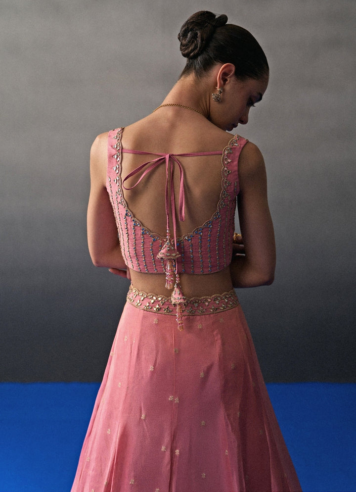 Pastel Pink Banarasi Silk Lehenga Set Angad Singh - Fabilicious Fashion