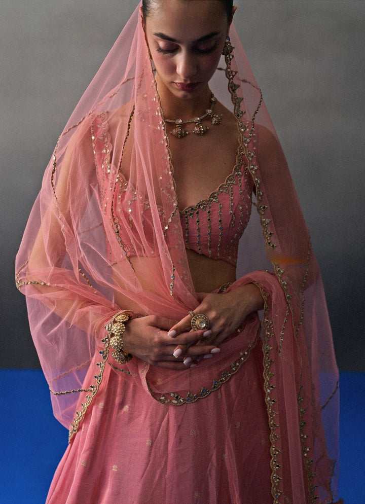 Pastel Pink Banarasi Silk Lehenga Set Angad Singh - Fabilicious Fashion