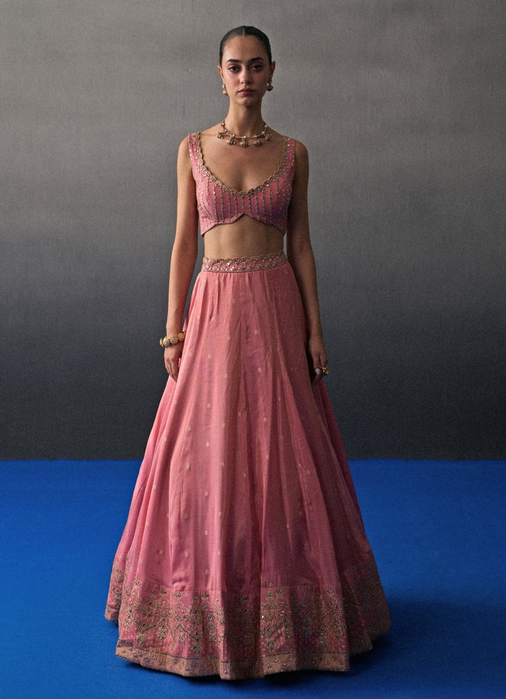 Pastel Pink Banarasi Silk Lehenga Set Angad Singh - Fabilicious Fashion