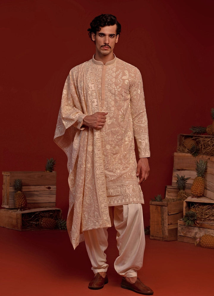 Pastel Pink Embroidered Kurta Patiala Pant Set Kalpraag - Fabilicious Fashion