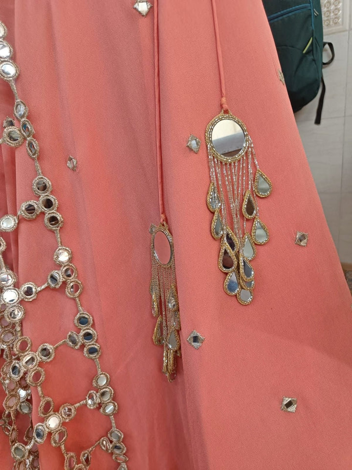 Pastel Pink Organza Lehenga Set with Corset Blouse Anisha Shetty - Fabilicious Fashion