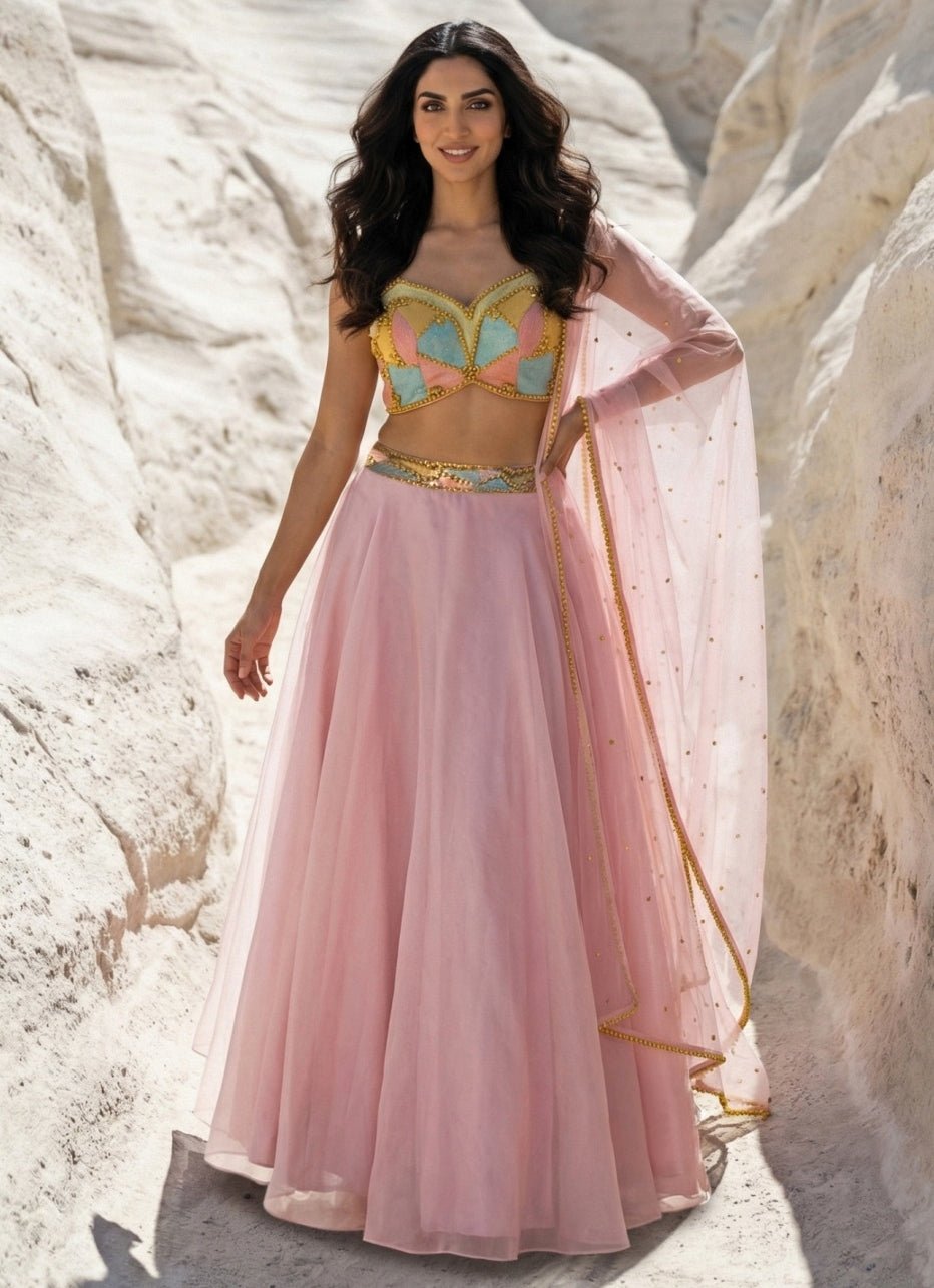 Pastel Pink Organza Lehenga With Multicolour Blouse Anisha Shetty - Fabilicious Fashion