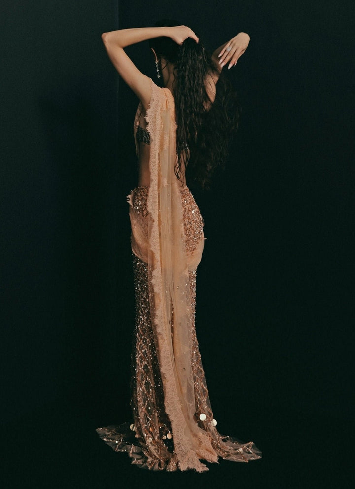 The Little Black Bow Peach And Nude Gold Soft Net Concept SareeFabilicious Fashion