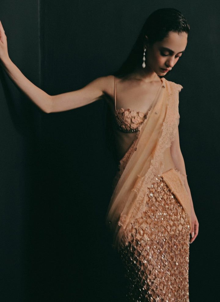 The Little Black Bow Peach And Nude Gold Soft Net Concept SareeFabilicious Fashion