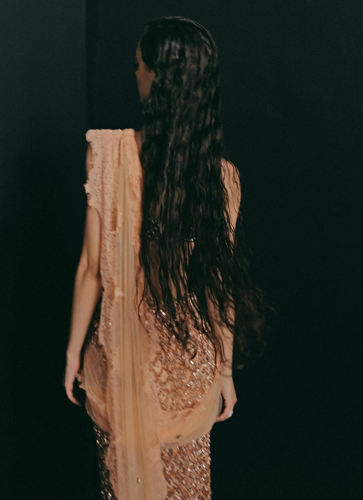 The Little Black Bow Peach And Nude Gold Soft Net Concept SareeFabilicious Fashion