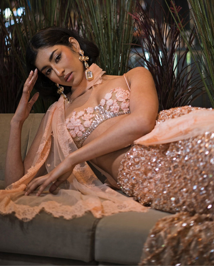 The Little Black Bow Peach And Nude Gold Soft Net Concept SareeFabilicious Fashion