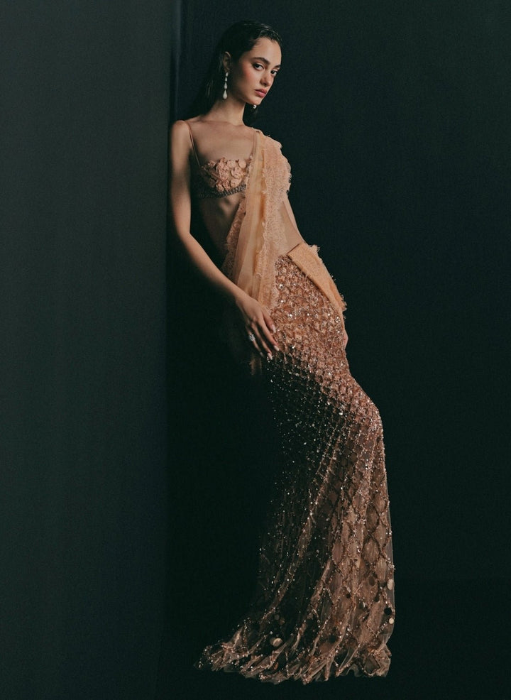The Little Black Bow Peach And Nude Gold Soft Net Concept SareeFabilicious Fashion