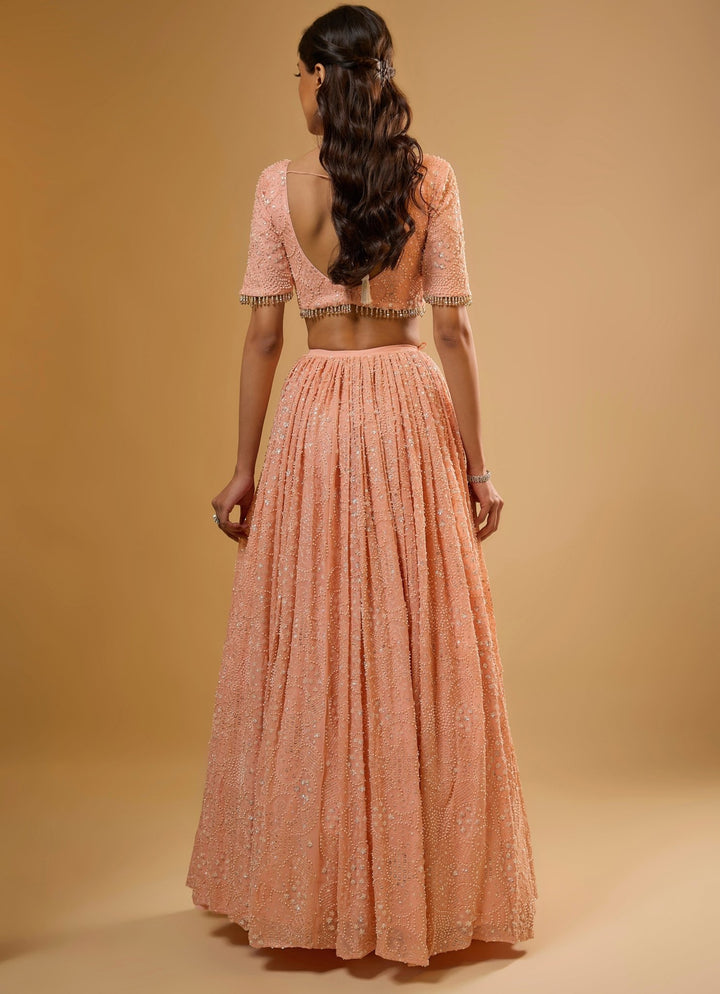 Peach Georgette Lehenga Set Renee Label - Fabilicious Fashion