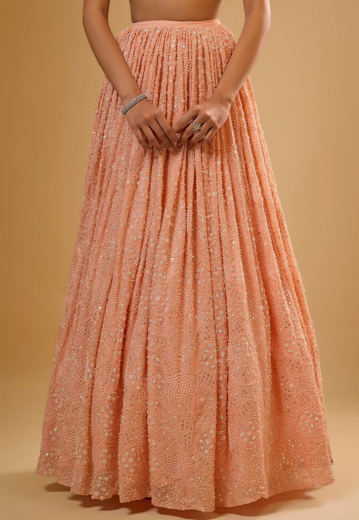 Peach Georgette Lehenga Set Renee Label - Fabilicious Fashion
