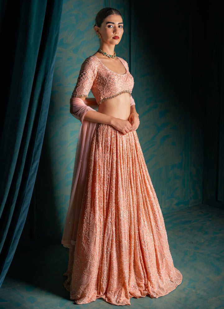 Peach Georgette Lehenga Set Renee Label - Fabilicious Fashion