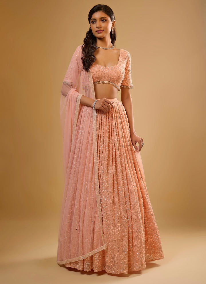 Peach Georgette Lehenga Set Renee Label - Fabilicious Fashion