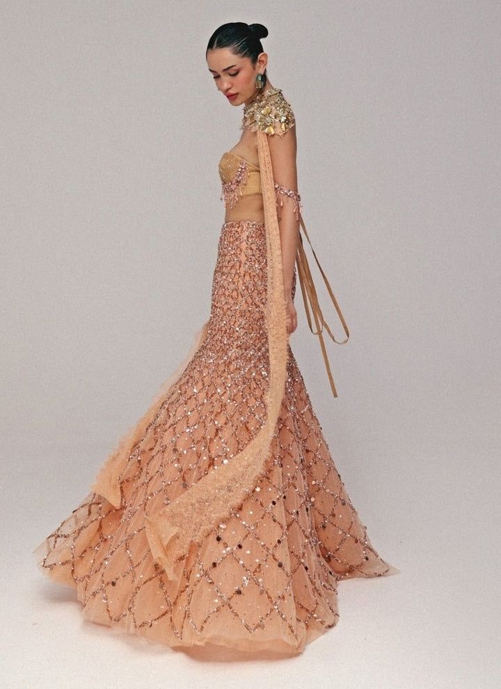 The Little Black Bow Peach Soft Net Mermaid Lehenga Set With CapeFabilicious Fashion