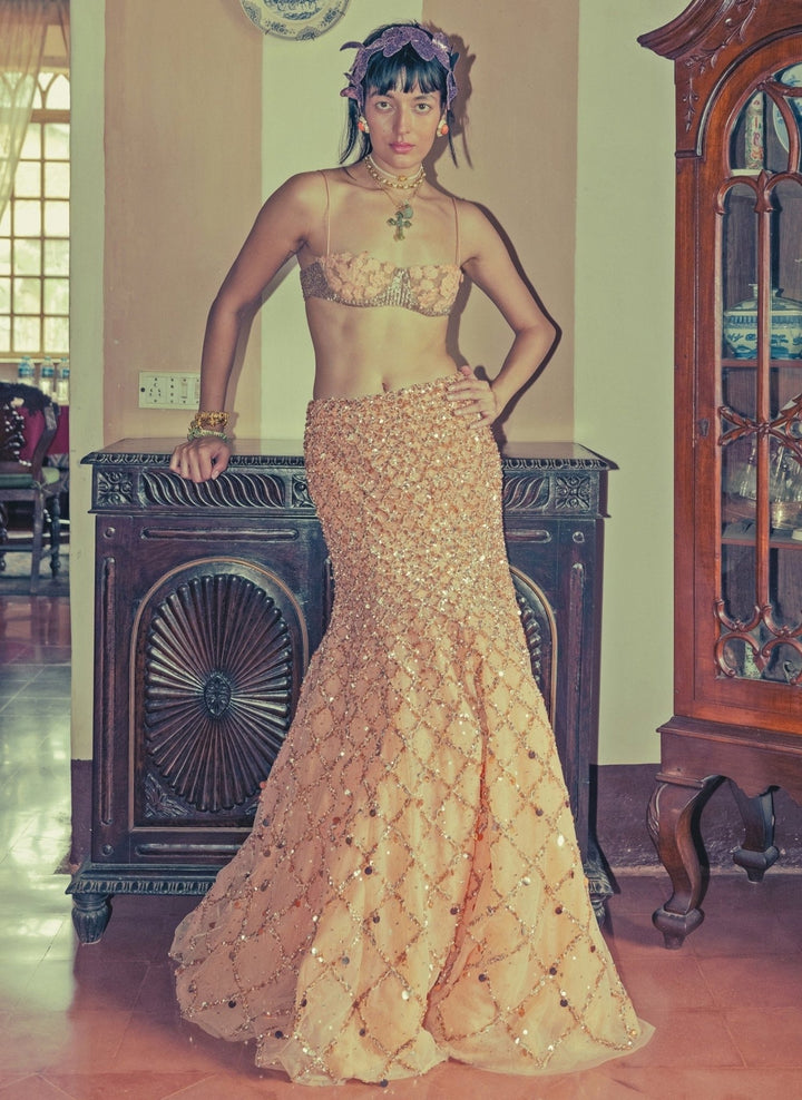 The Little Black Bow Peach Soft Net Mermaid Lehenga SetFabilicious Fashion