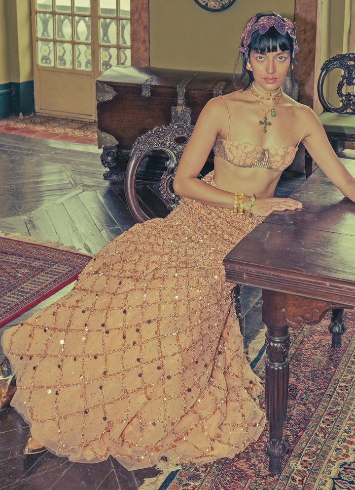 The Little Black Bow Peach Soft Net Mermaid Lehenga SetFabilicious Fashion