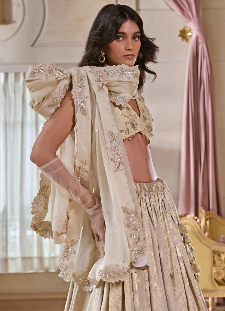 Pearl Grey Jacquard Lehenga Set Paulmi and Harsh - Fabilicious Fashion