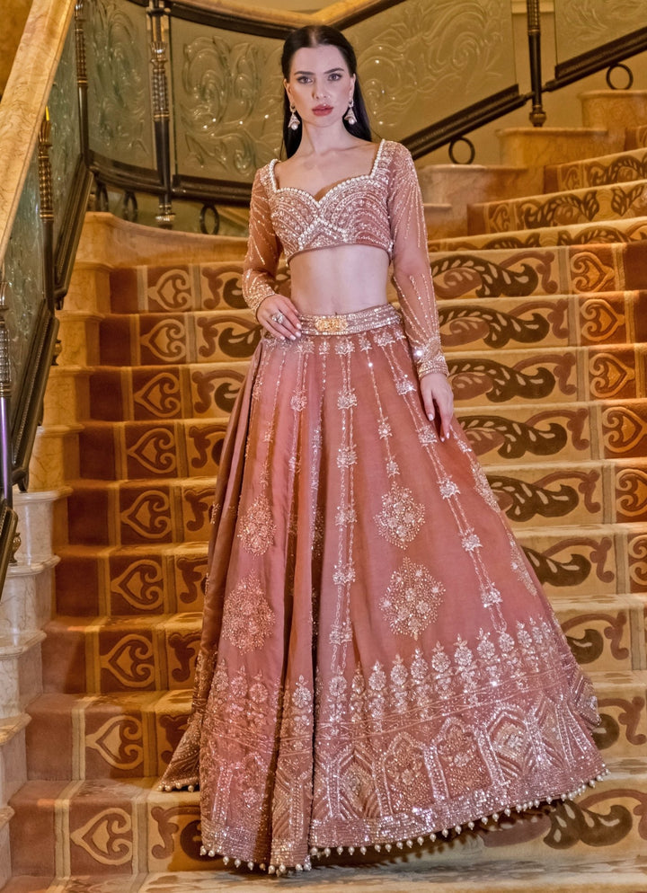 Peru Brown Embroidered Silk Lehenga Set Jigar and Nikita - Fabilicious Fashion