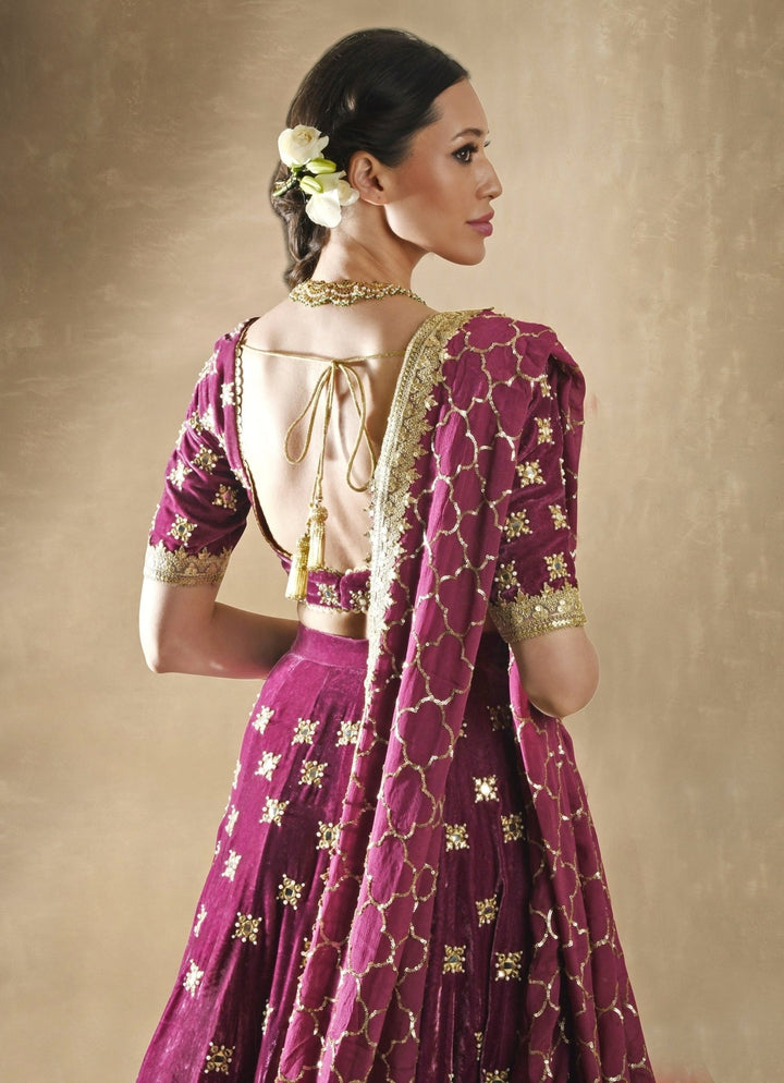 Petunia Velvet Mirrorwork Lehenga Renee Label - Fabilicious Fashion