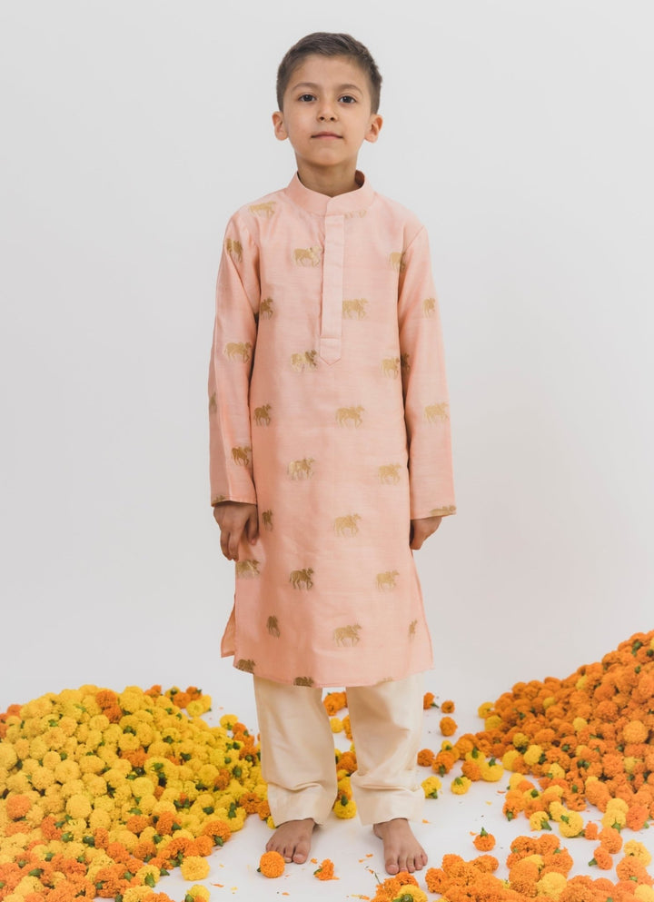 Pink Chanderi Kurta Set Chotibuti - Fabilicious Fashion